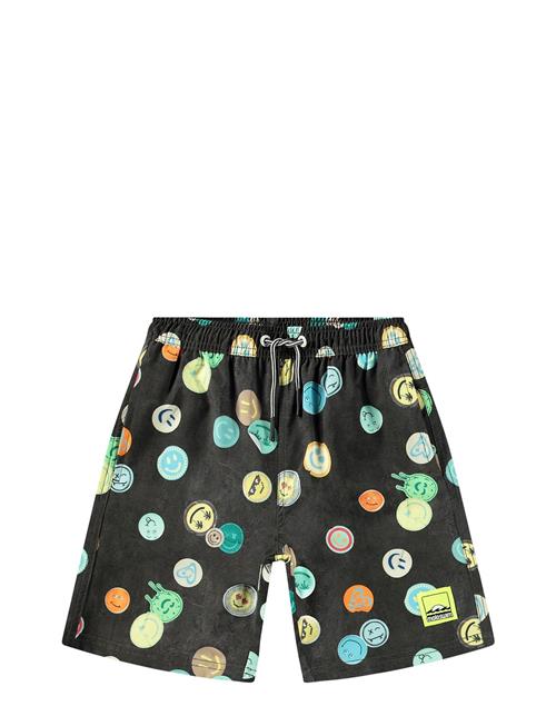 Nilson Molo Black