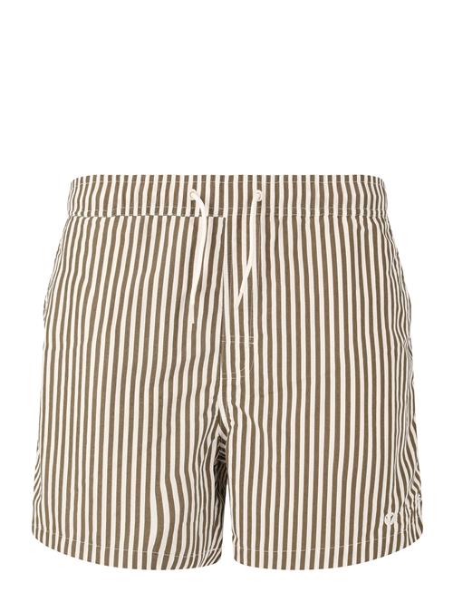Cullen M Striped Board Shorts Virtus Brown