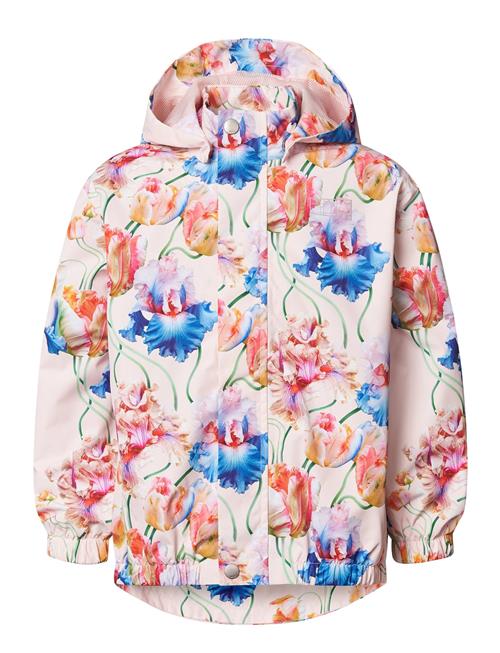Waiton Molo Pink