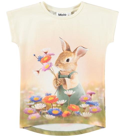 Molo T-shirt - Ragnhilde - Bunny Rabbit