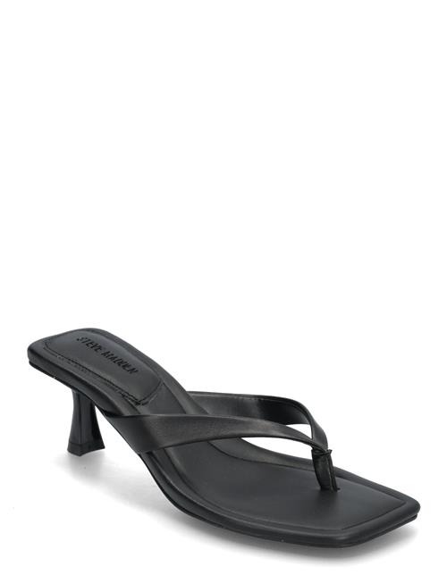 Heyley Heeled Sandals Steve Madden Black
