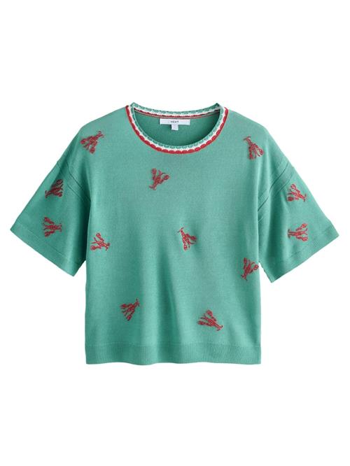 Next Pullover  turkis / rød