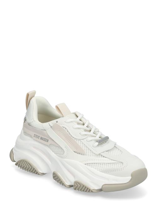 Possession-E Sneaker Steve Madden White