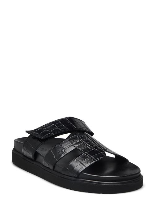 Maru Croco Pavement Black