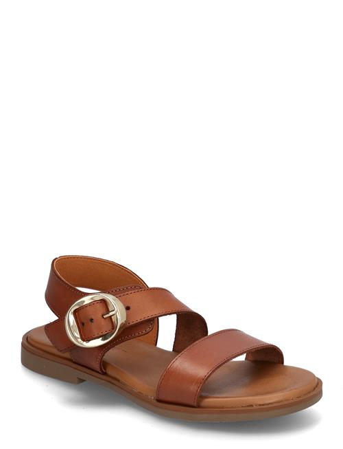 Isolda Pavement Brown