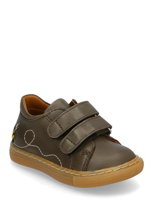 Shoes - Flat - With Velcro ANGULUS Khaki
