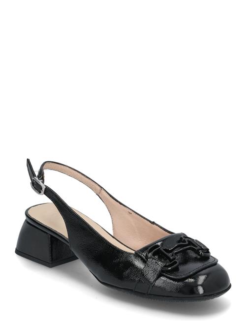 Charo Wonders Black