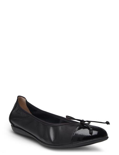 Selene Wonders Black