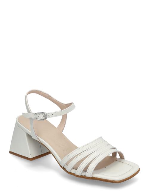 Marcia Wonders White