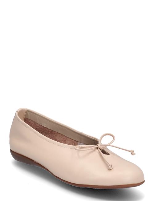 Celestina Wonders Beige