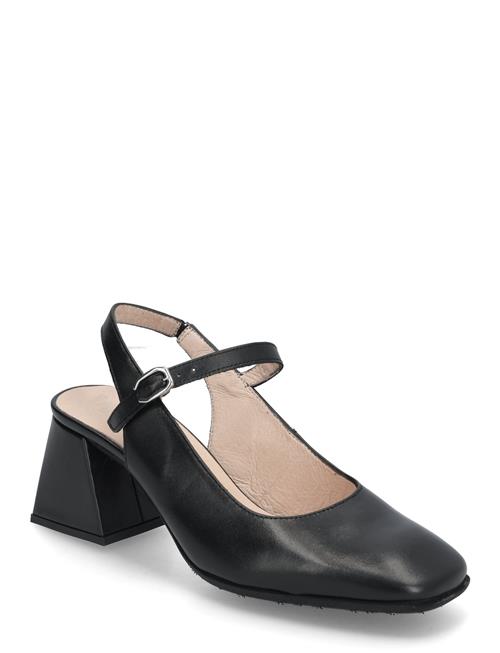 Jane Wonders Black