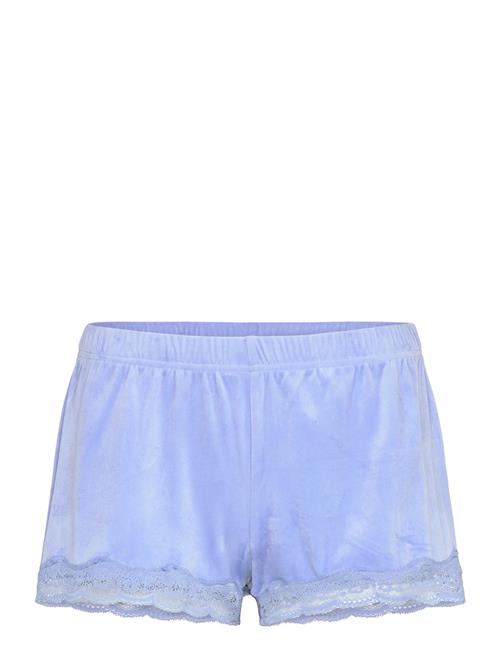 Short Velours Scallop Lace Hunkemöller Blue