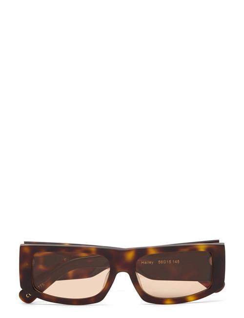 Hailey Corlin Eyewear Brown