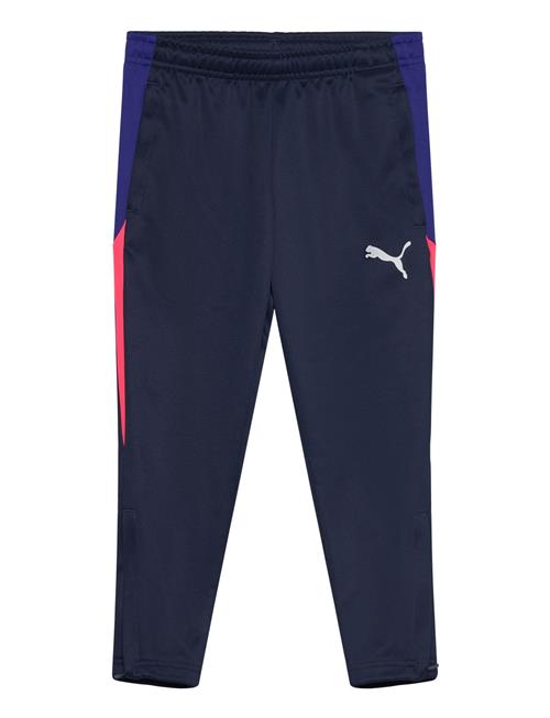 Individualliga Training Pants Jr PUMA Blue