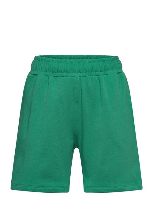 Tnnorvalde Sweat Shorts The New Green