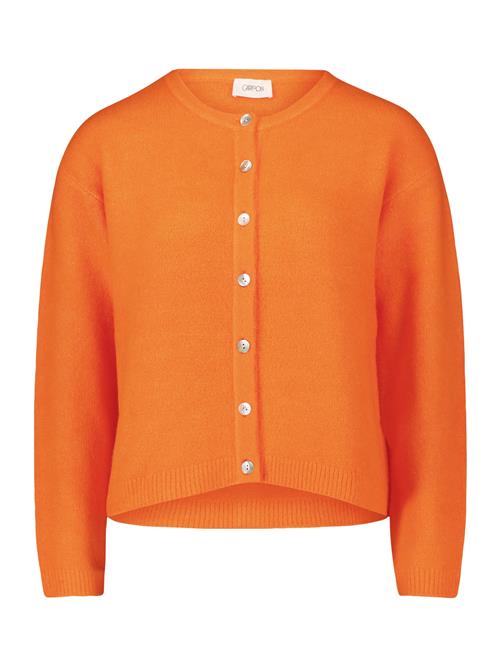 Cartoon Cardigan  hummer
