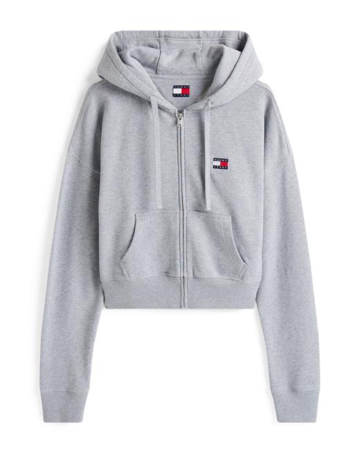 Tommy Jeans Sweatjakke  navy / grå-meleret / rød