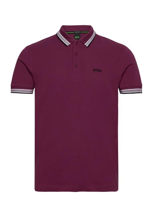 Paddy BOSS Burgundy