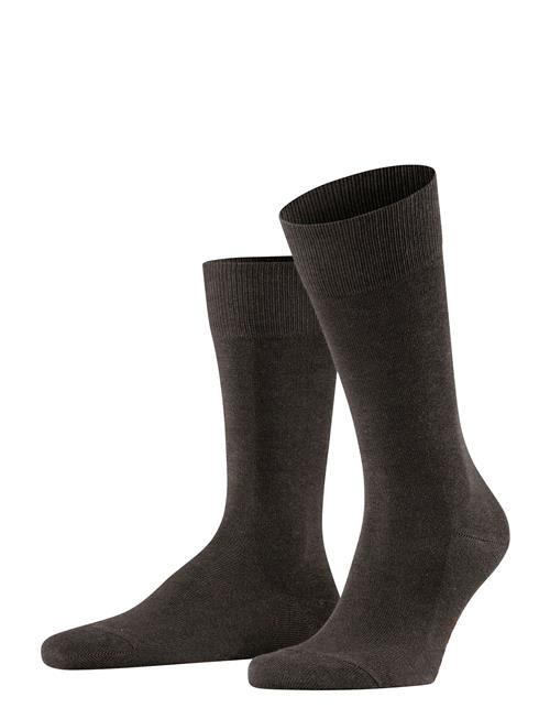 Se Family Everyday Casual Falke Brown ved Booztlet