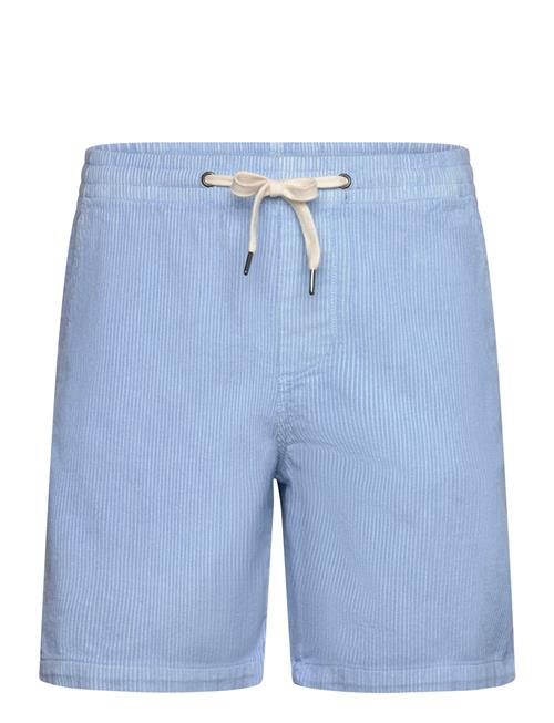Corduroy Shorts Lindbergh Blue
