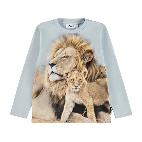 Molo Reif Langærmet T-shirt Lion Family | Blå | 152 cm