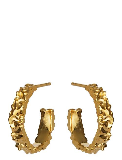 Aio Medium Maanesten Gold