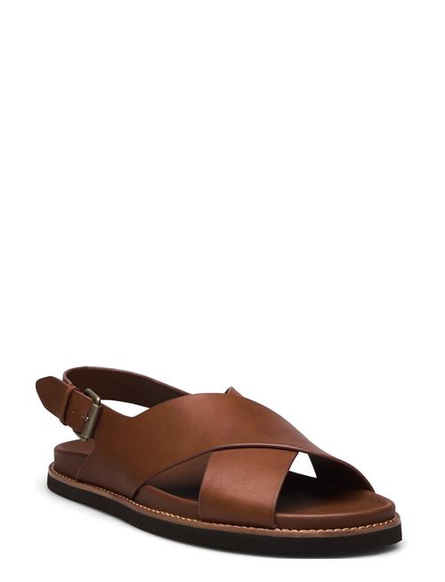 Leather-Zane-Sn-Fsa Polo Ralph Lauren Brown