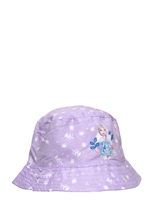 Bob Disney Purple