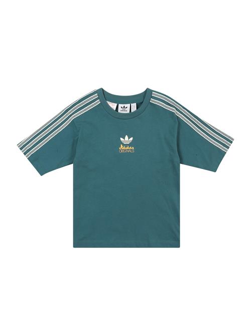 ADIDAS ORIGINALS Shirts  gul / petroleum / hvid
