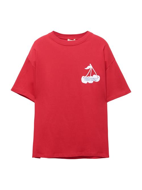 Pull&Bear Shirts  lyseblå / mørkerød / hvid