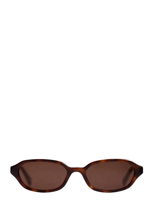Aidan Tortoise Brown Corlin Eyewear Brown