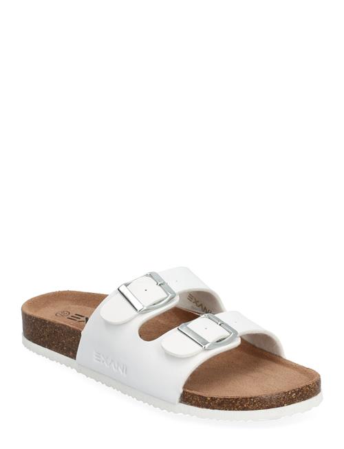 Spectra W Exani White