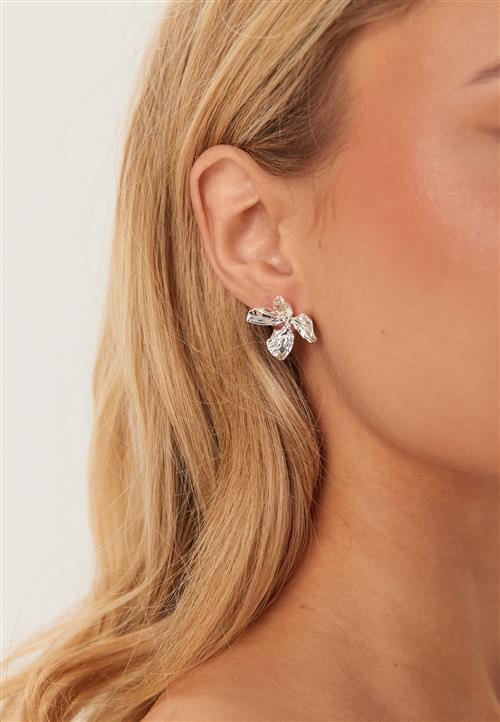 Pilgrim Dream Earrings Silver-plated