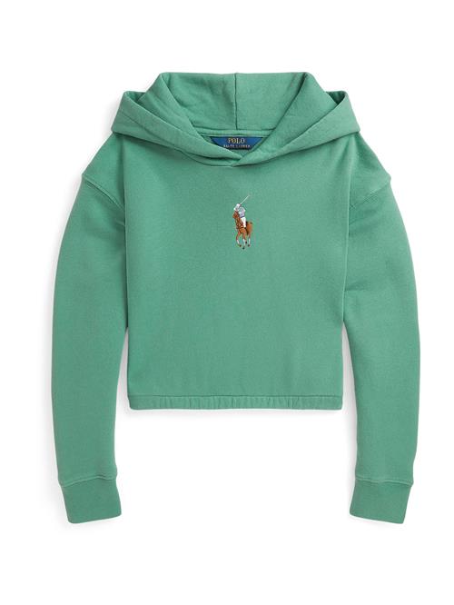 Se Polo Ralph Lauren Sweatshirt  lyseblå / brun / siv / hvid ved About You
