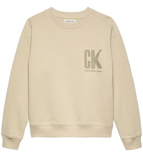 Calvin Klein Sweatshirt - Summer Backprint - Oyster Gray Grey