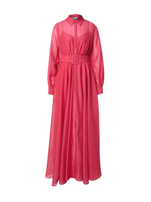 Ted Baker Blusekjole 'Malzia'  pink