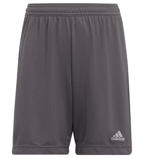 Se adidas Performance Shorts - Entrada 22 - Grå ved KidsWorld