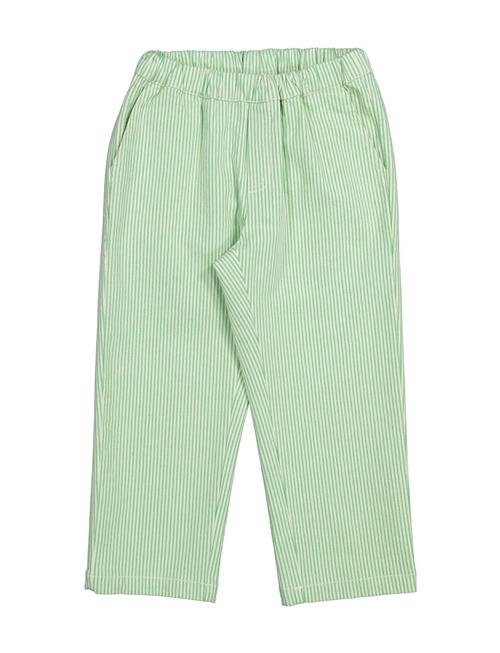 Paloma MarMar Copenhagen Green