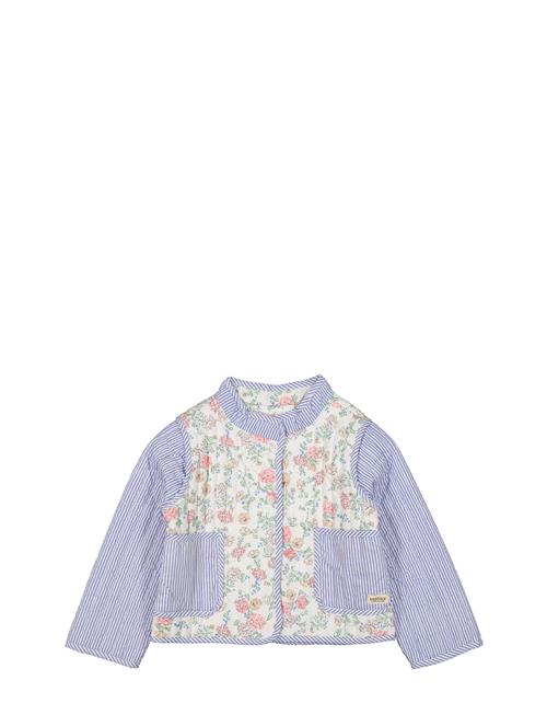 Jolene MarMar Copenhagen Purple