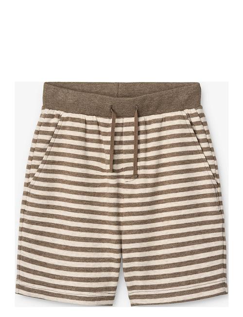 Pelon S MarMar Copenhagen Brown