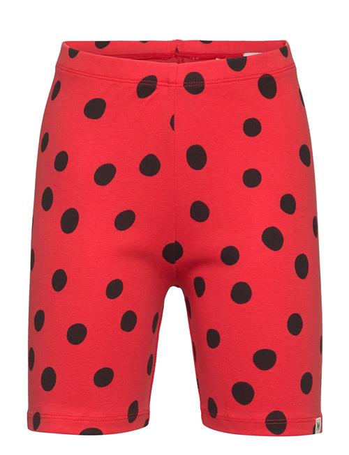 Se Dots Aop Bike Shorts Mini Rodini Red ved Booztlet