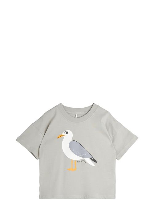 Seagull Sp Ss Tee Mini Rodini Grey