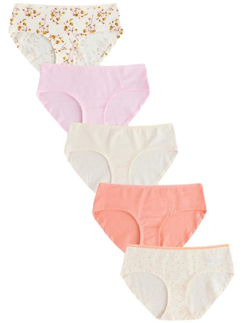 Next Panty  elfenben / mørkegul / laks / pudder