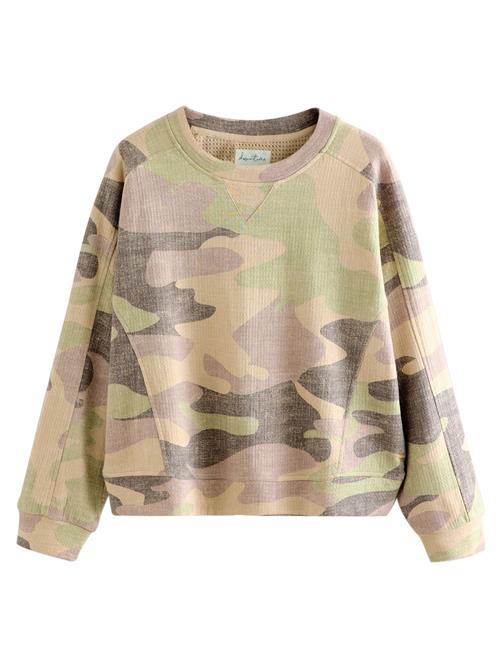 Next Sweatshirt  lysebeige / mørkebrun / khaki / oliven