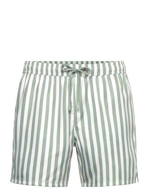 Thyme Striped Shorties Pockies Green