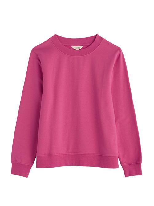 Seasalt Cornwall Sweatshirt 'Mappa'  pink