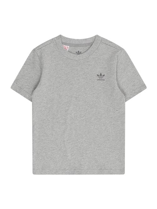 ADIDAS ORIGINALS Shirts 'Trefoil Essentials'  grå-meleret