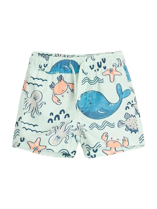 Cool Club Badeshorts  pastelgrøn / blandingsfarvet