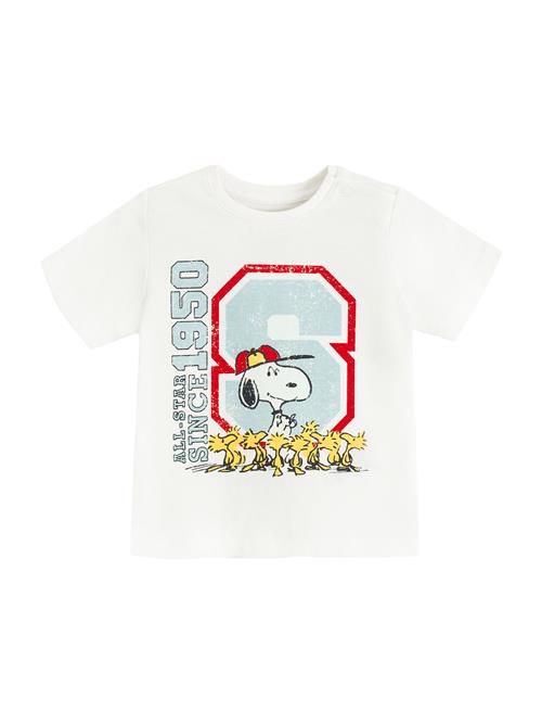 Cool Club Shirts  lyseblå / citron / mørkerød / hvid
