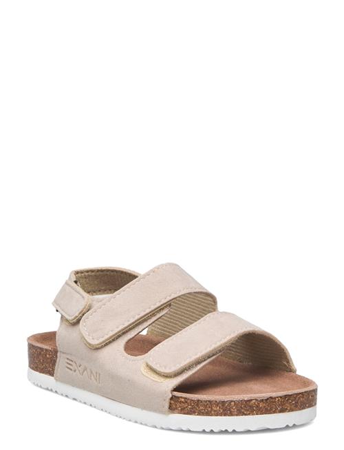 Spectra Jr Exani Beige